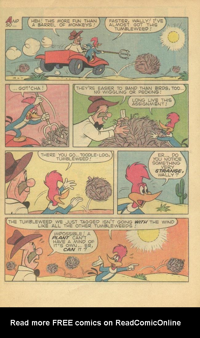 Read online Walter Lantz Woody Woodpecker (1962) comic -  Issue #120 - 23