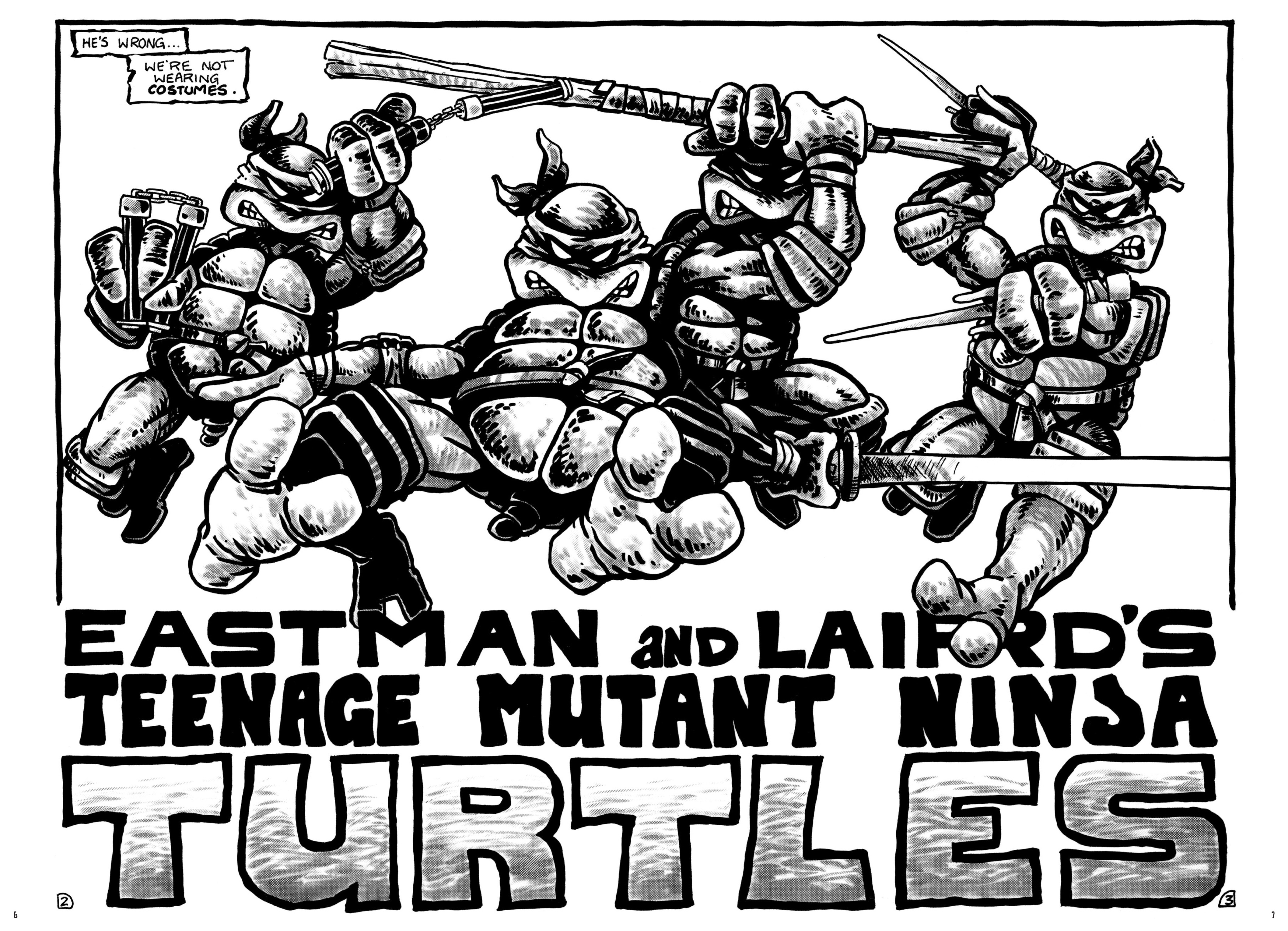 Read online Teenage Mutant Ninja Turtles: The Ultimate Collection comic -  Issue # TPB 1 (Part 1) - 7