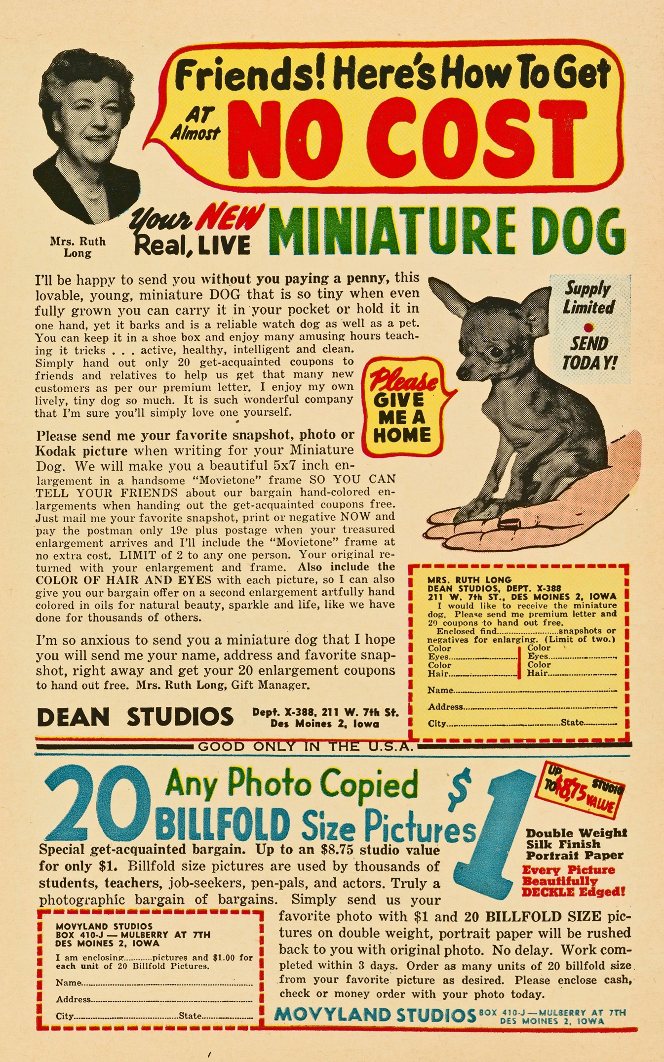 Read online Felix the Cat (1951) comic -  Issue #57 - 36