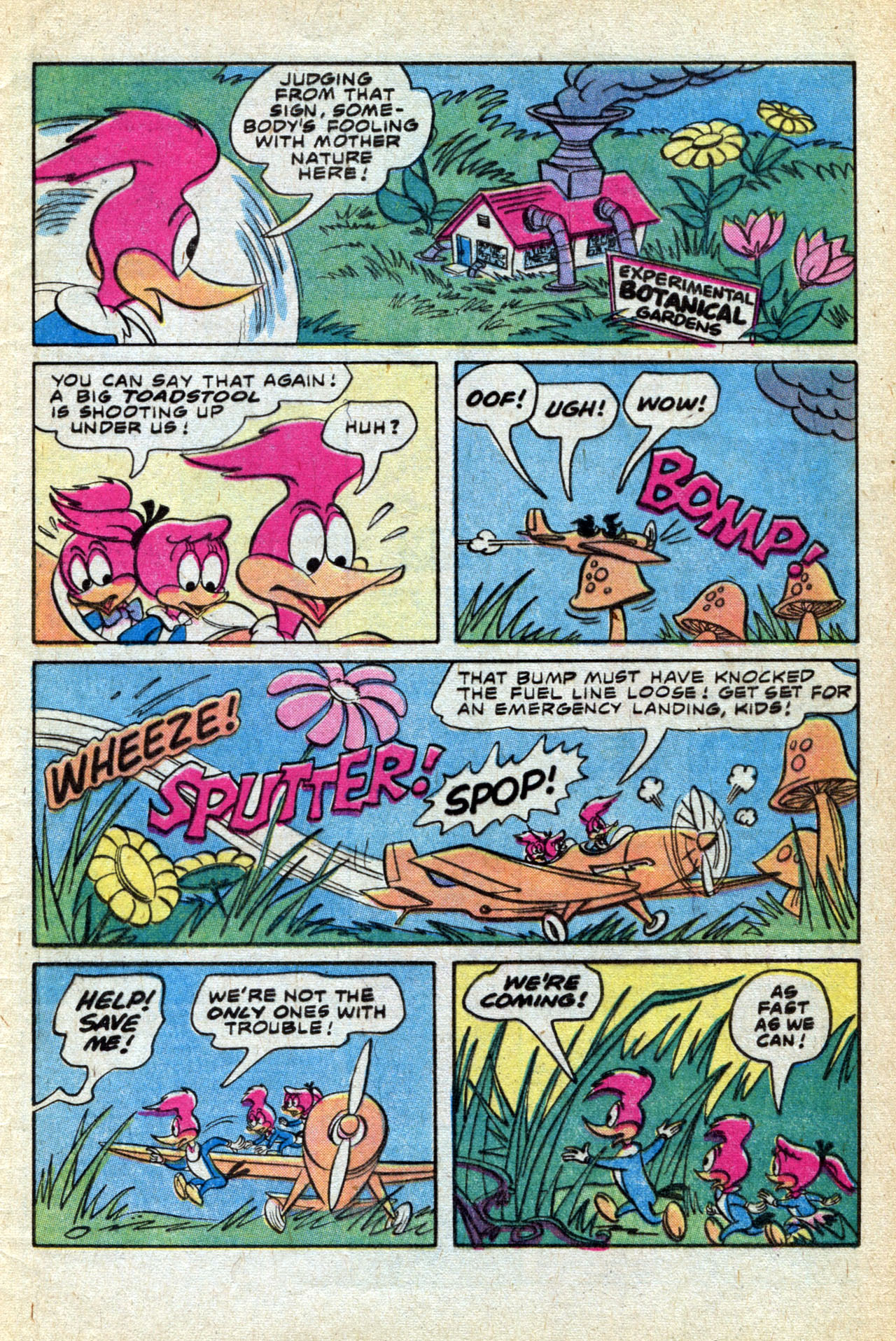 Read online Walter Lantz Woody Woodpecker (1962) comic -  Issue #170 - 29