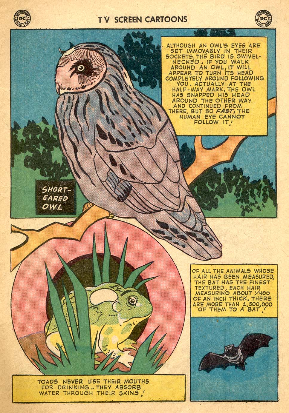 Read online TV Screen Cartoons comic -  Issue #136 - 11