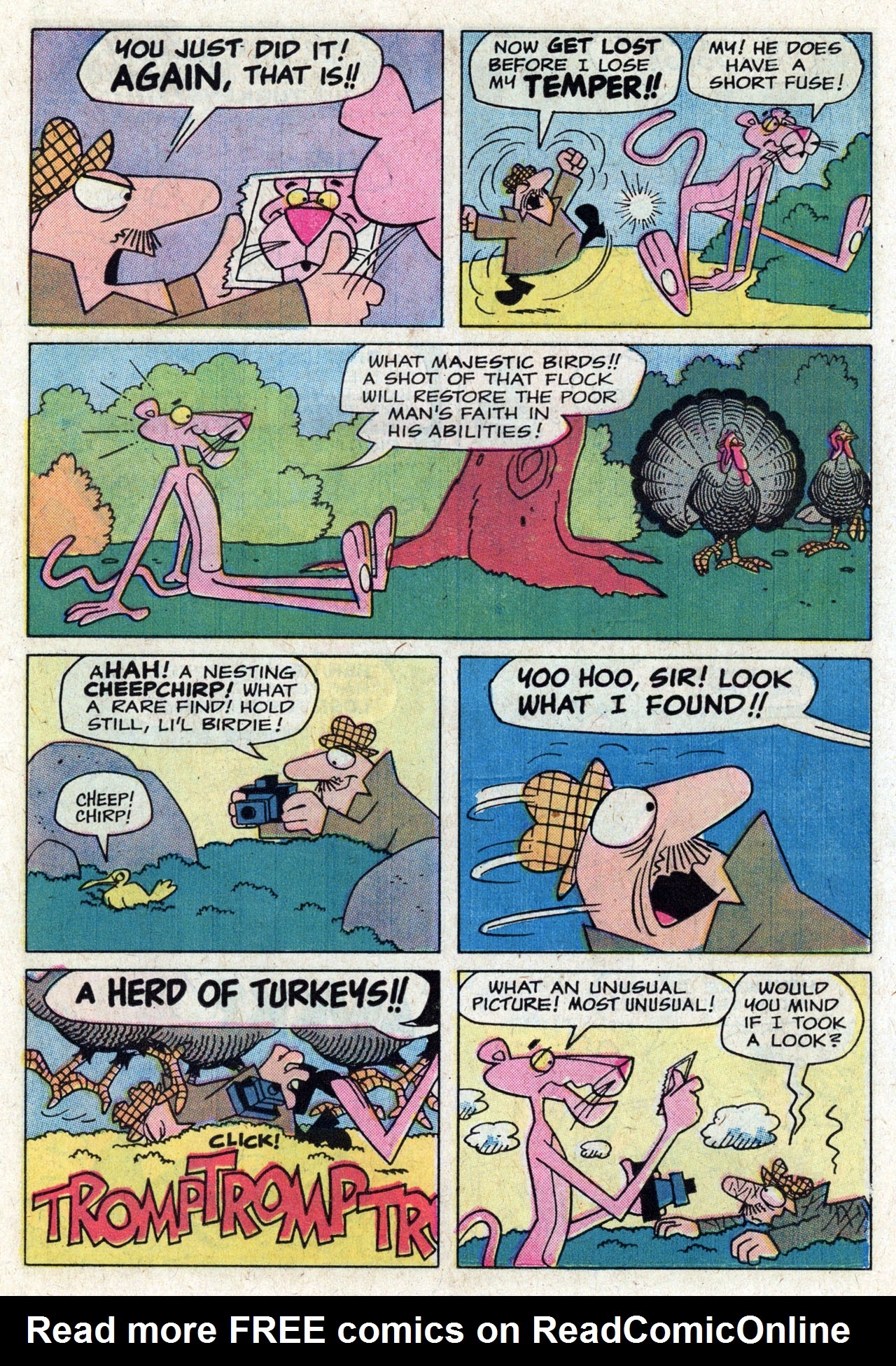 Read online The Pink Panther (1971) comic -  Issue #22 - 15