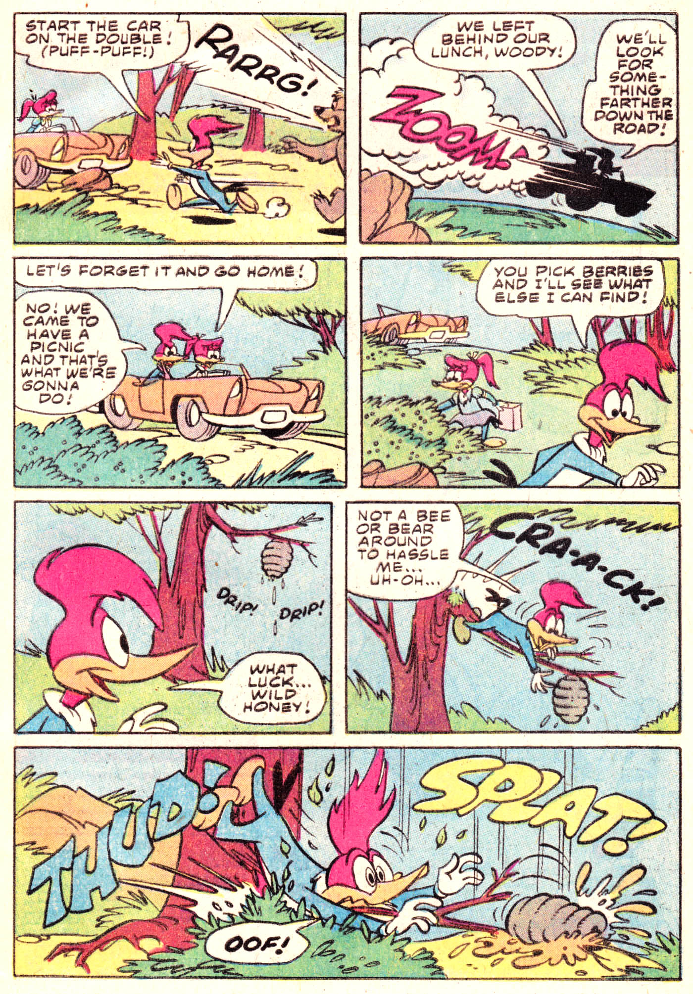 Read online Walter Lantz Woody Woodpecker (1962) comic -  Issue #177 - 29