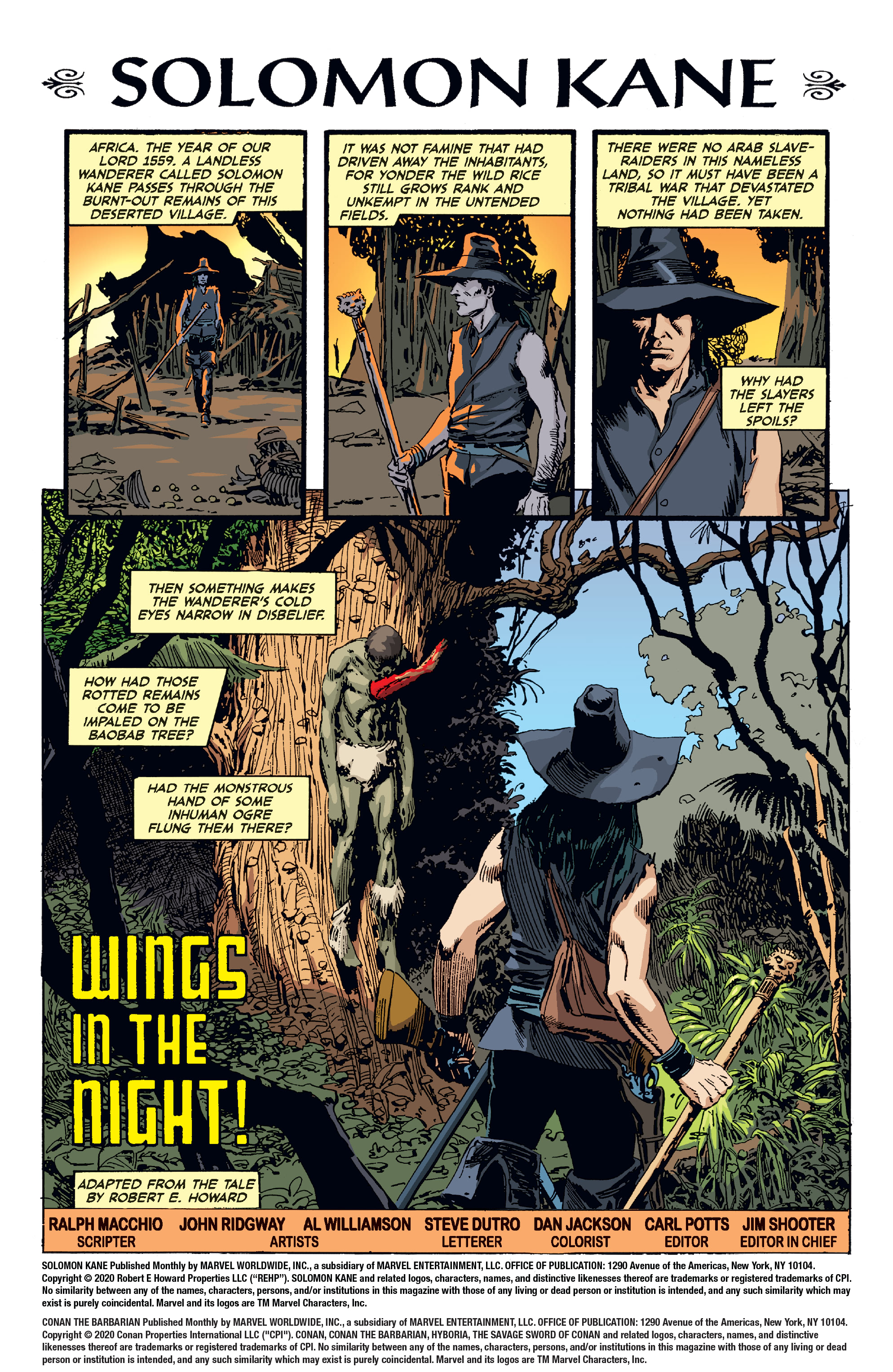 Read online The Sword of Solomon Kane comic -  Issue #6 - 2