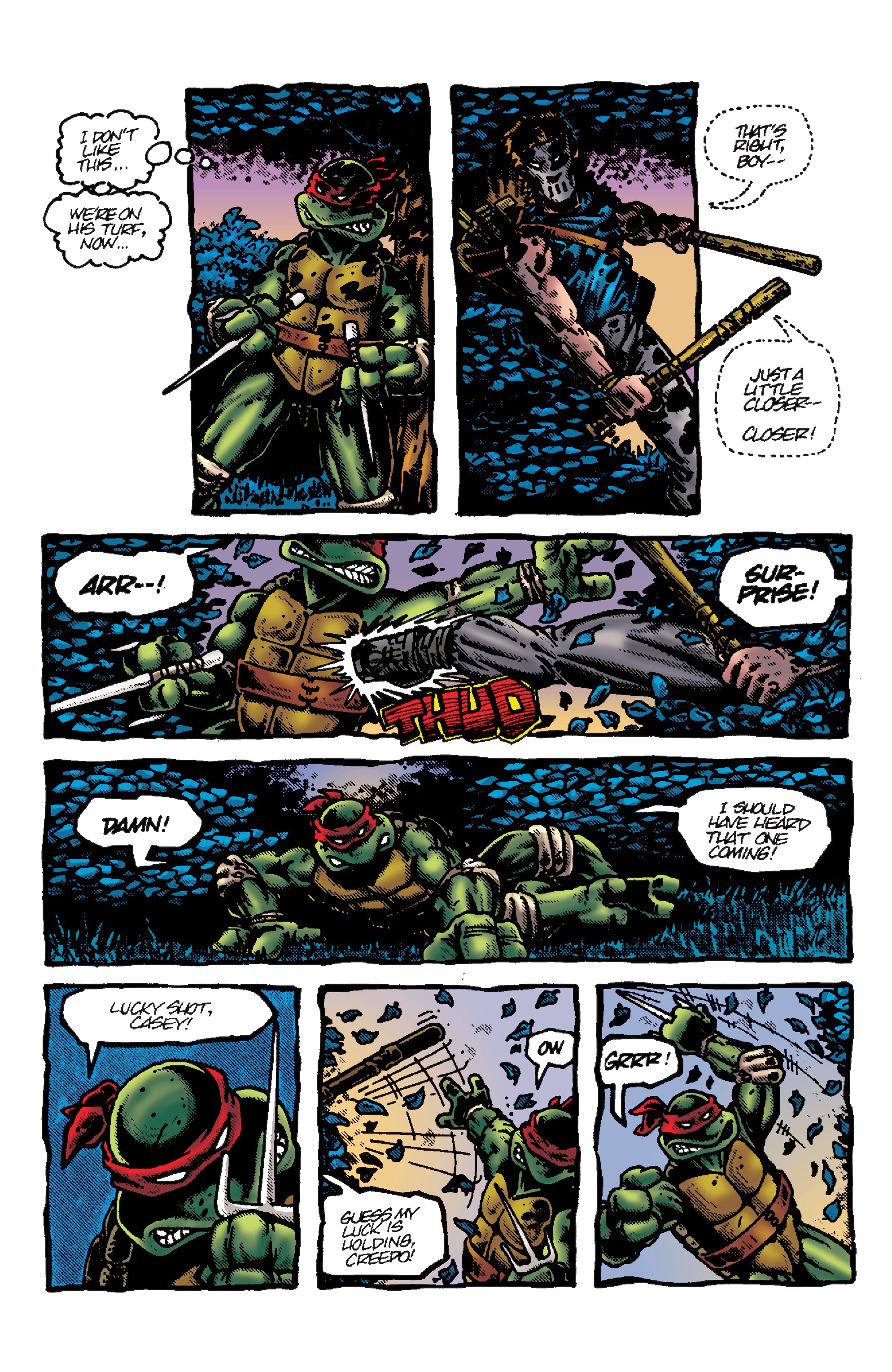 Read online Teenage Mutant Ninja Turtles: Best Of comic -  Issue # Raphael - 22