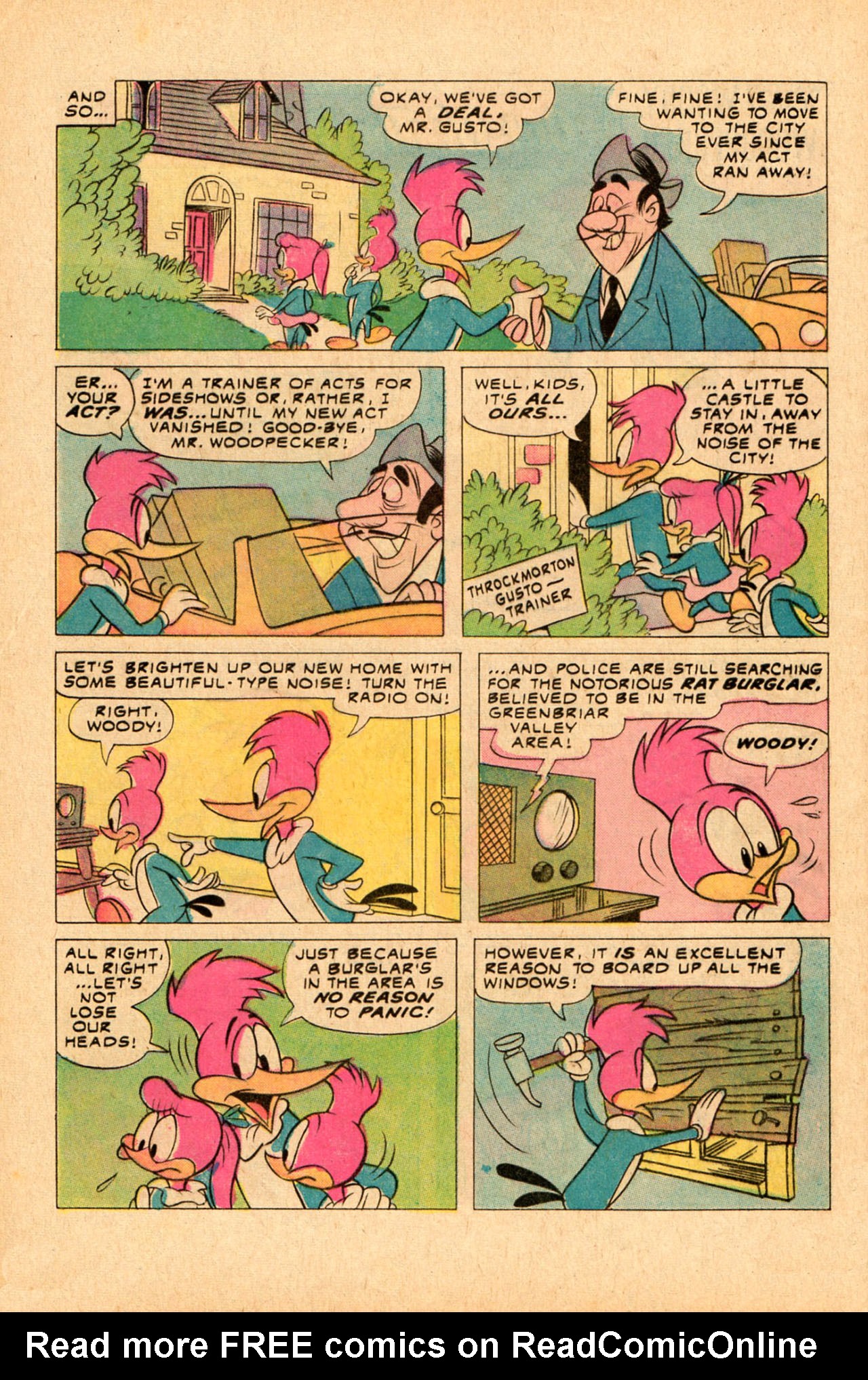 Read online Walter Lantz Woody Woodpecker (1962) comic -  Issue #139 - 28