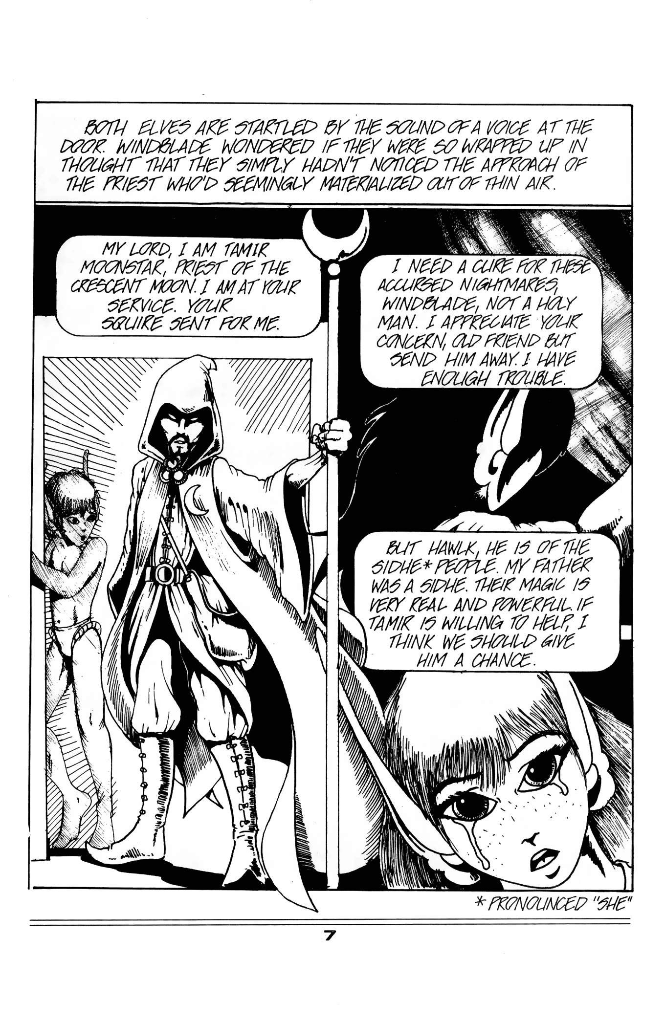 Read online Elflord Chronicles comic -  Issue #3 - 9