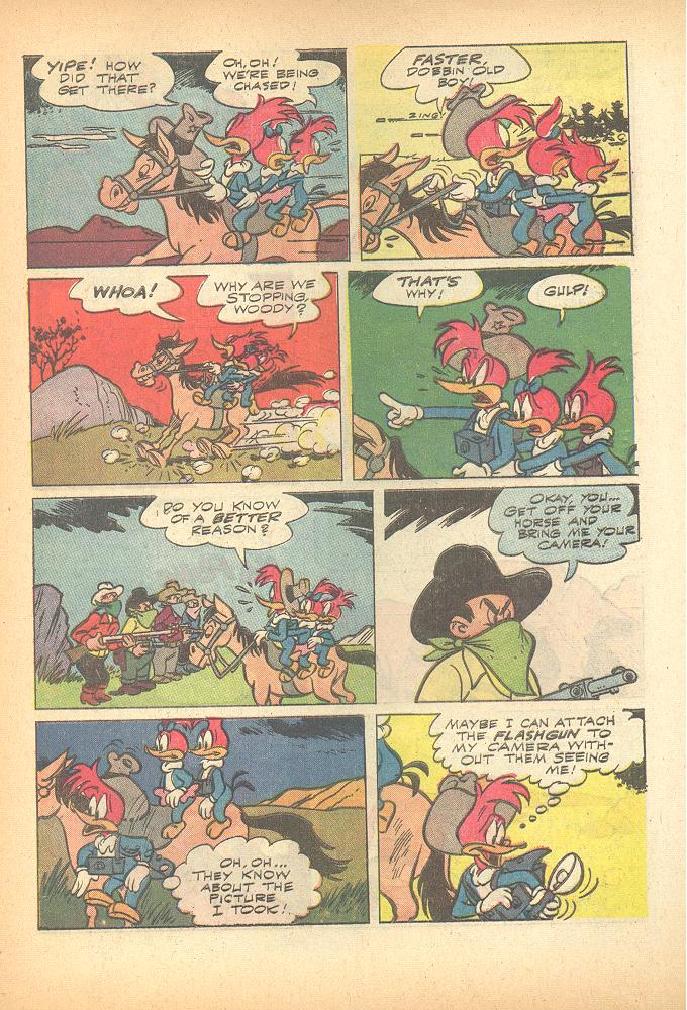 Read online Walter Lantz Woody Woodpecker (1962) comic -  Issue #86 - 5
