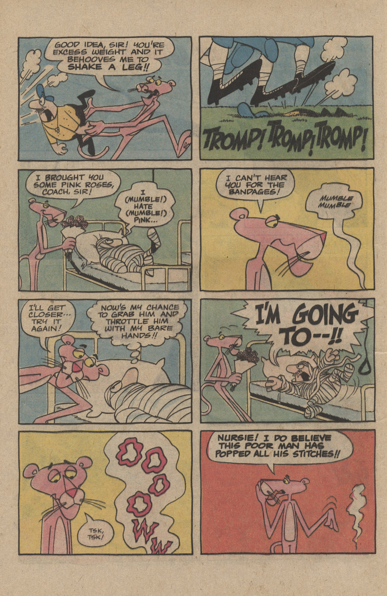 Read online The Pink Panther (1971) comic -  Issue #47 - 8