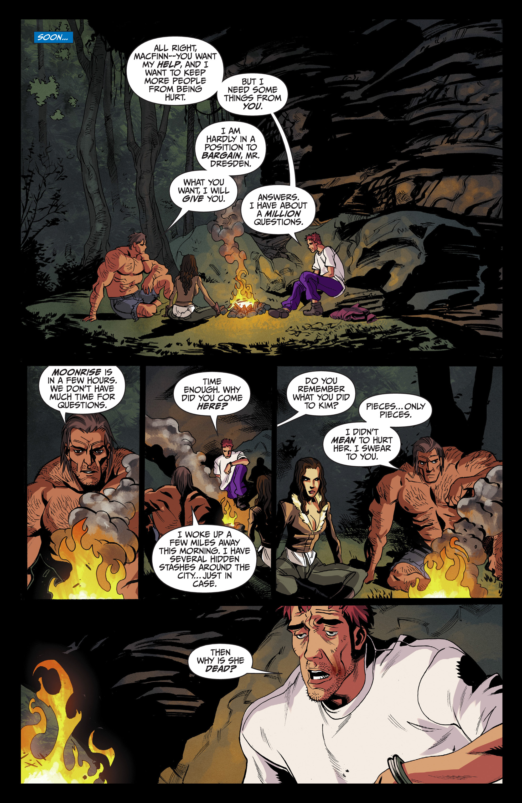 Read online Jim Butcher's The Dresden Files Omnibus comic -  Issue # TPB 1 (Part 5) - 13