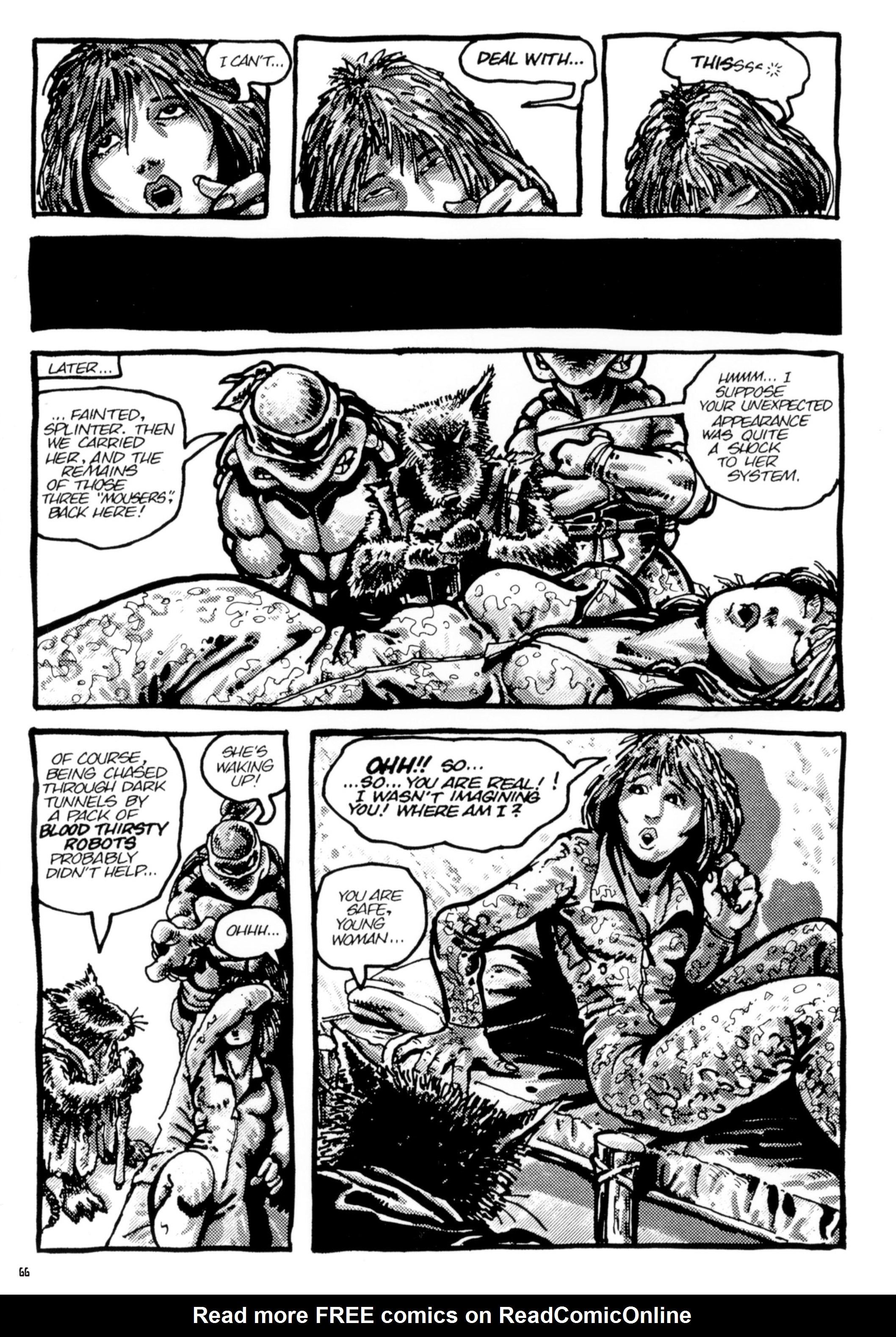 Read online Teenage Mutant Ninja Turtles: The Ultimate Collection comic -  Issue # TPB 1 (Part 1) - 64