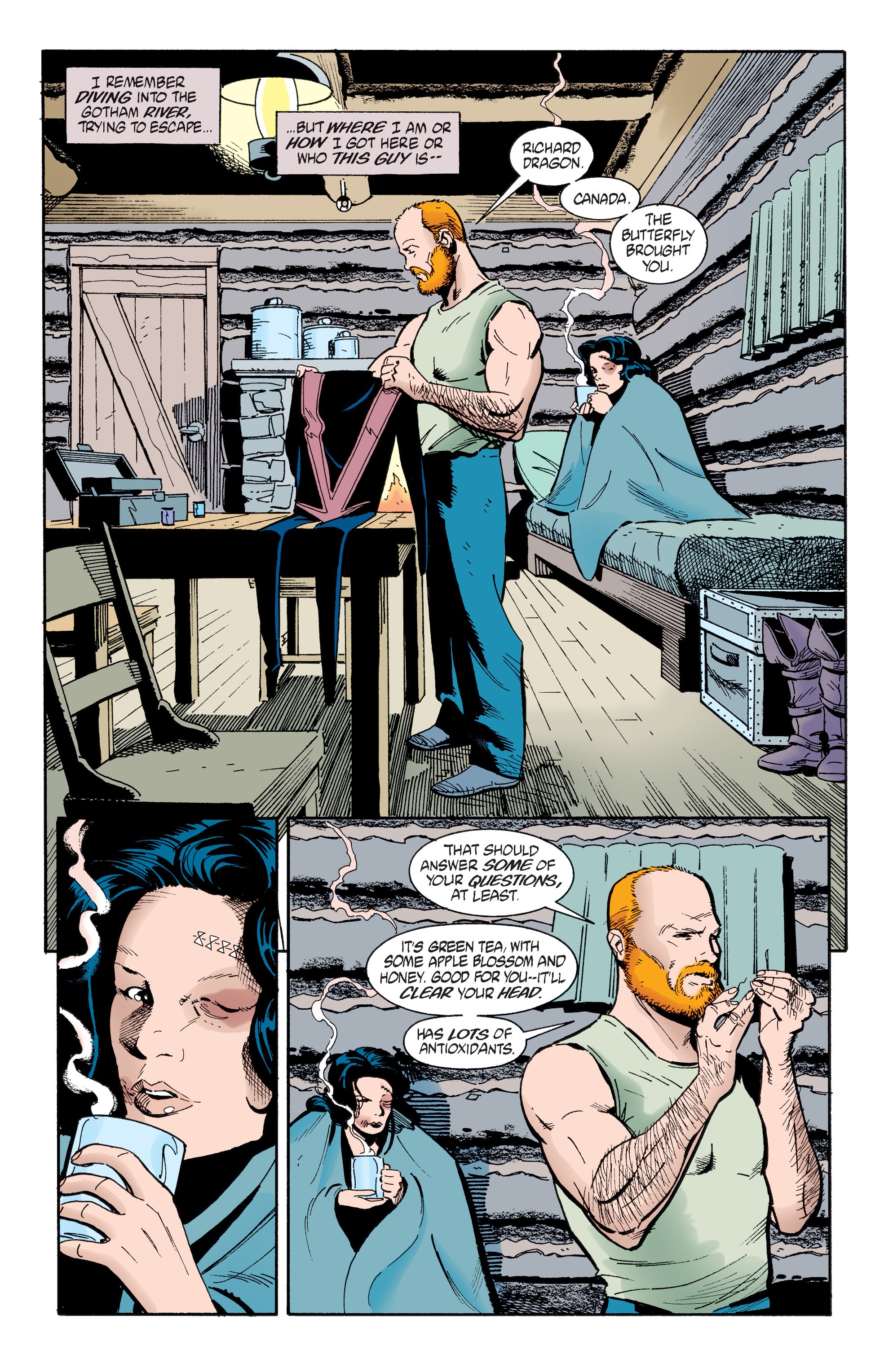 Read online Batman/Huntress: Cry for Blood comic -  Issue # _TPB Birds of Prey - Huntress - 55