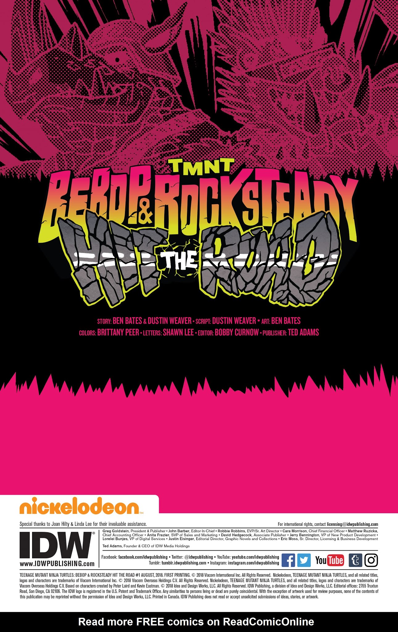 Read online Teenage Mutant Ninja Turtles: Bebop & Rocksteady Hit the Road comic -  Issue #1 - 2