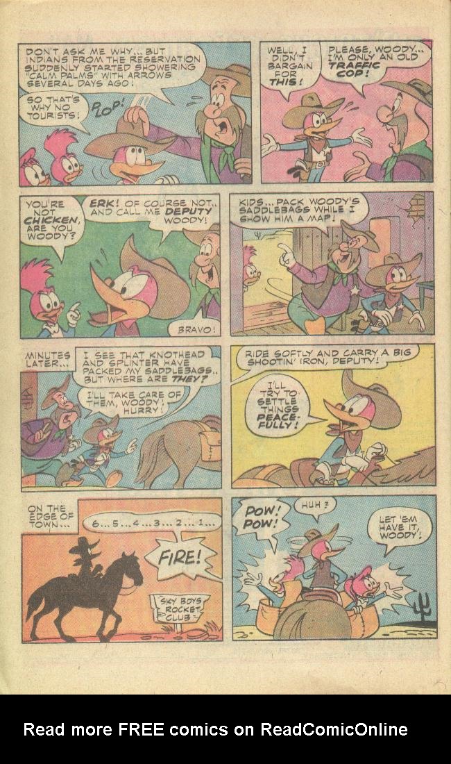 Read online Walter Lantz Woody Woodpecker (1962) comic -  Issue #149 - 17