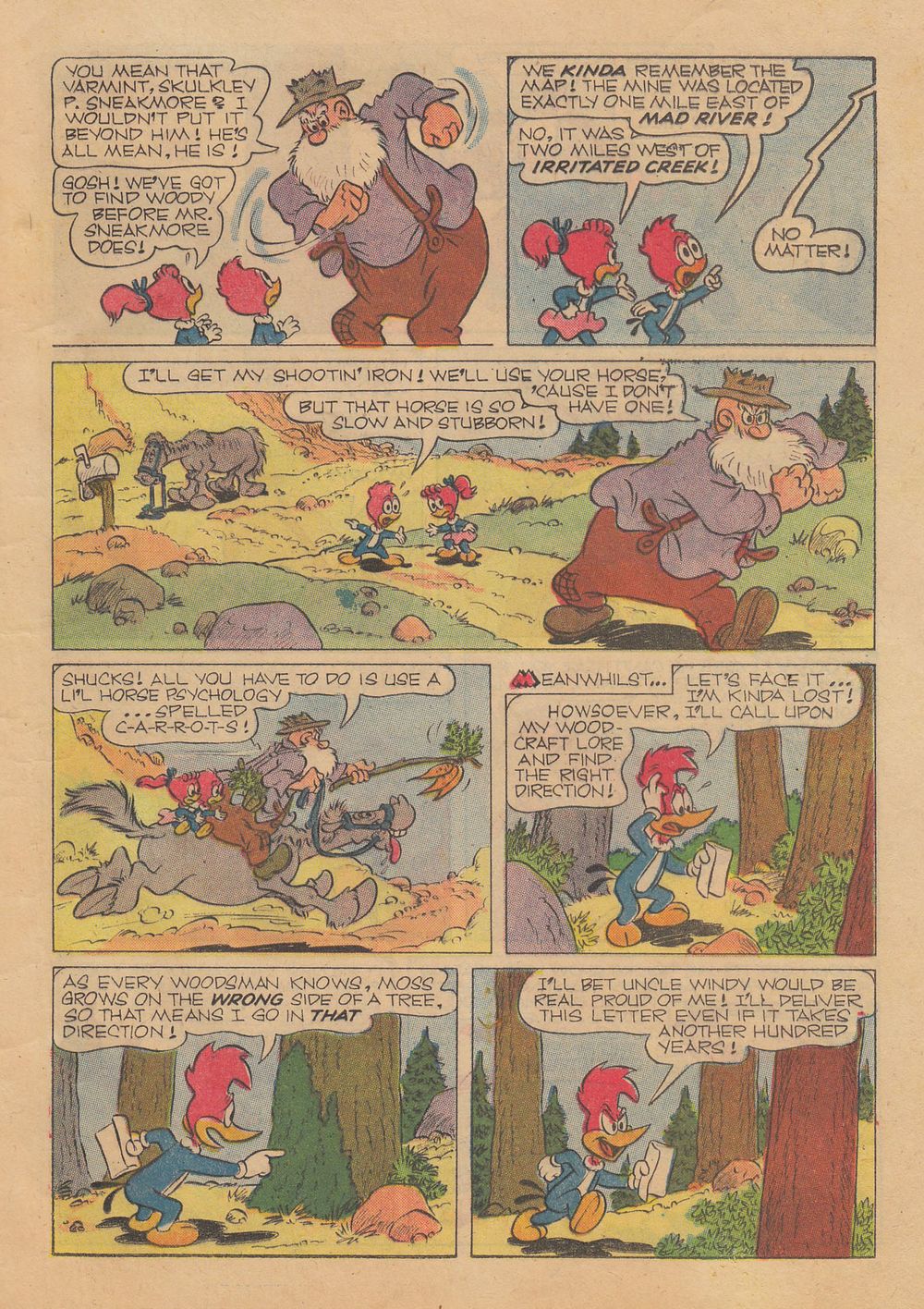 Read online Walter Lantz Woody Woodpecker (1952) comic -  Issue #61 - 13