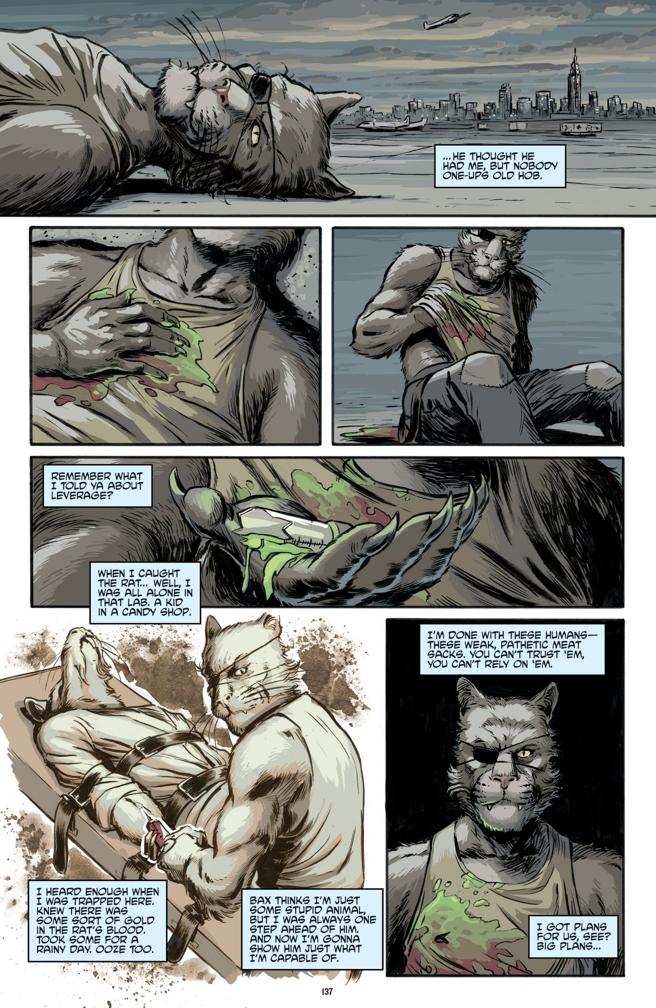 Read online Teenage Mutant Ninja Turtles: The IDW Collection comic -  Issue # TPB 3 (Part 2) - 38