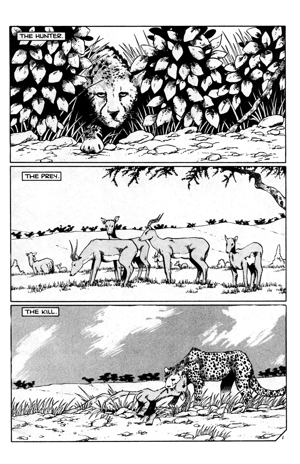 Read online Boris The Bear comic -  Issue #22 - 3