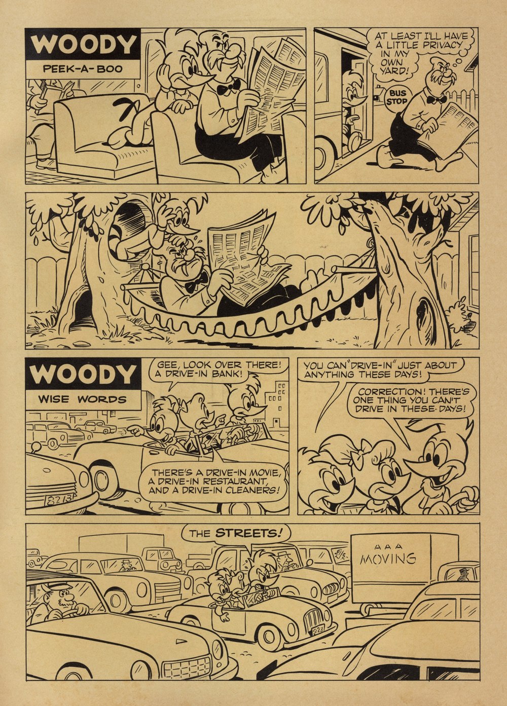 Read online Walter Lantz Woody Woodpecker (1952) comic -  Issue #71 - 35
