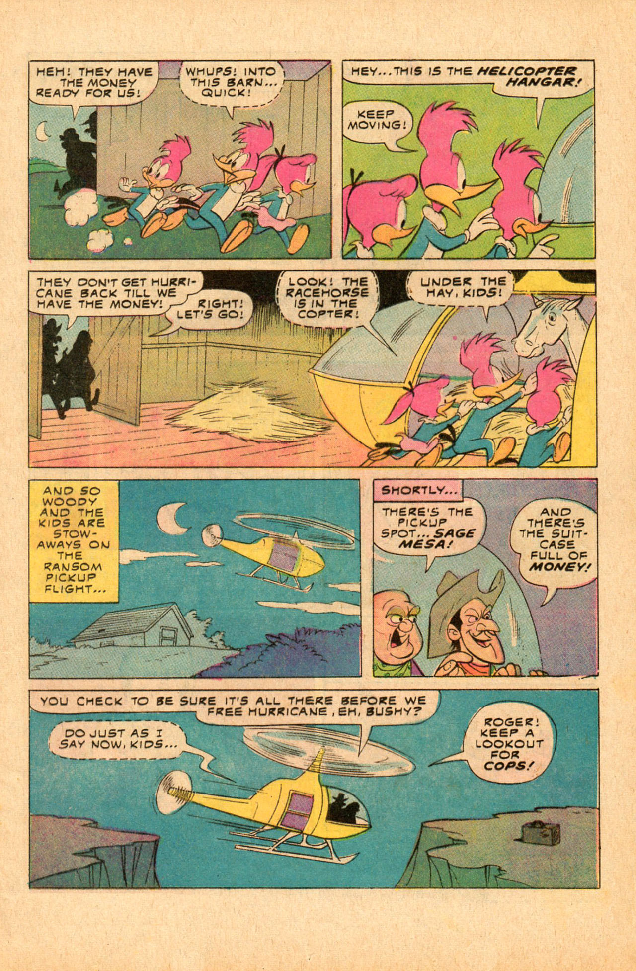 Read online Walter Lantz Woody Woodpecker (1962) comic -  Issue #139 - 13