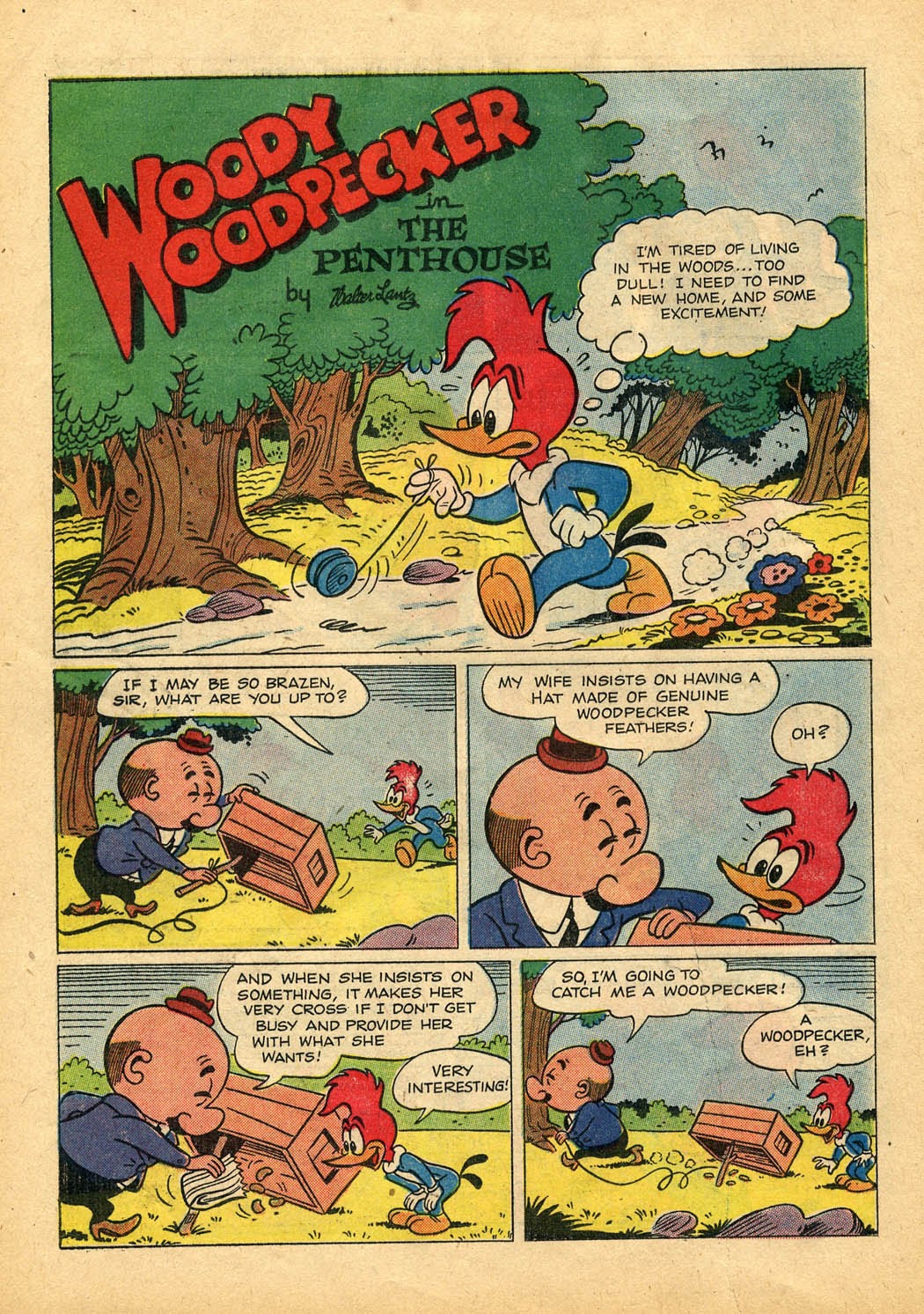 Read online Walter Lantz Woody Woodpecker (1952) comic -  Issue #43 - 26