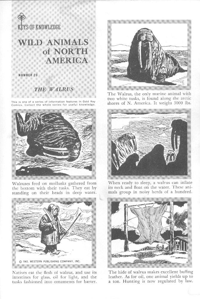 Read online Walter Lantz Woody Woodpecker (1962) comic -  Issue #77 - 35