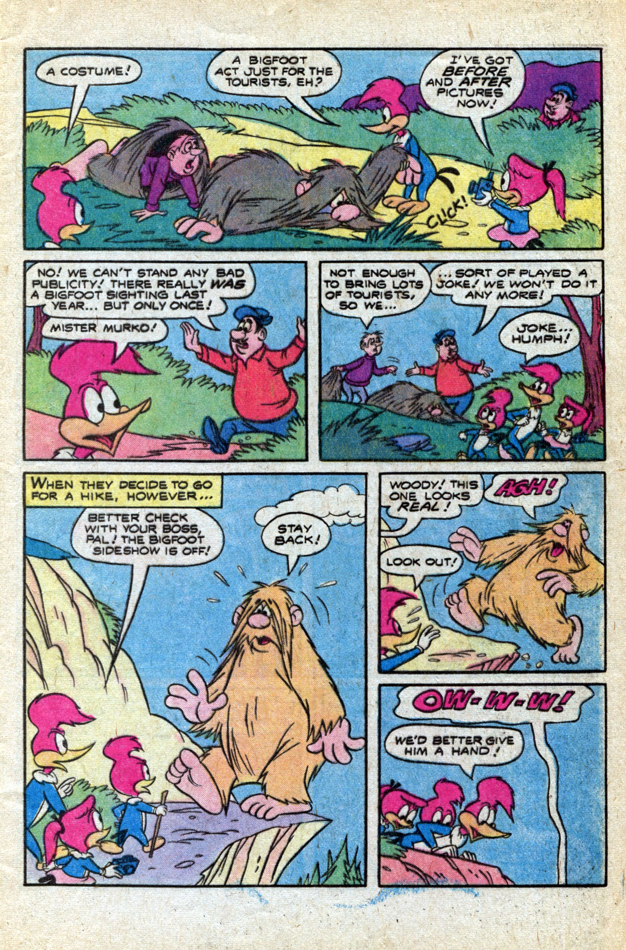 Read online Walter Lantz Woody Woodpecker (1962) comic -  Issue #170 - 5
