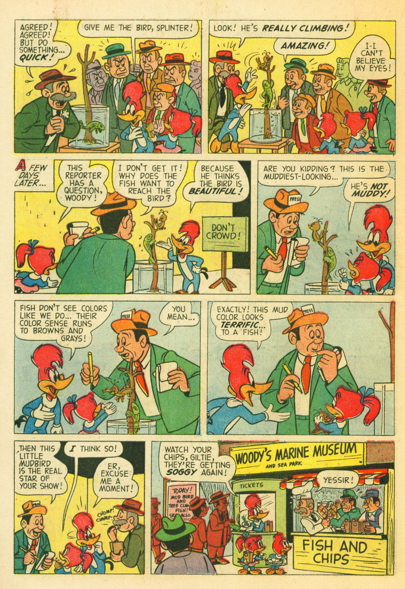 Read online Walter Lantz Woody Woodpecker (1952) comic -  Issue #57 - 18