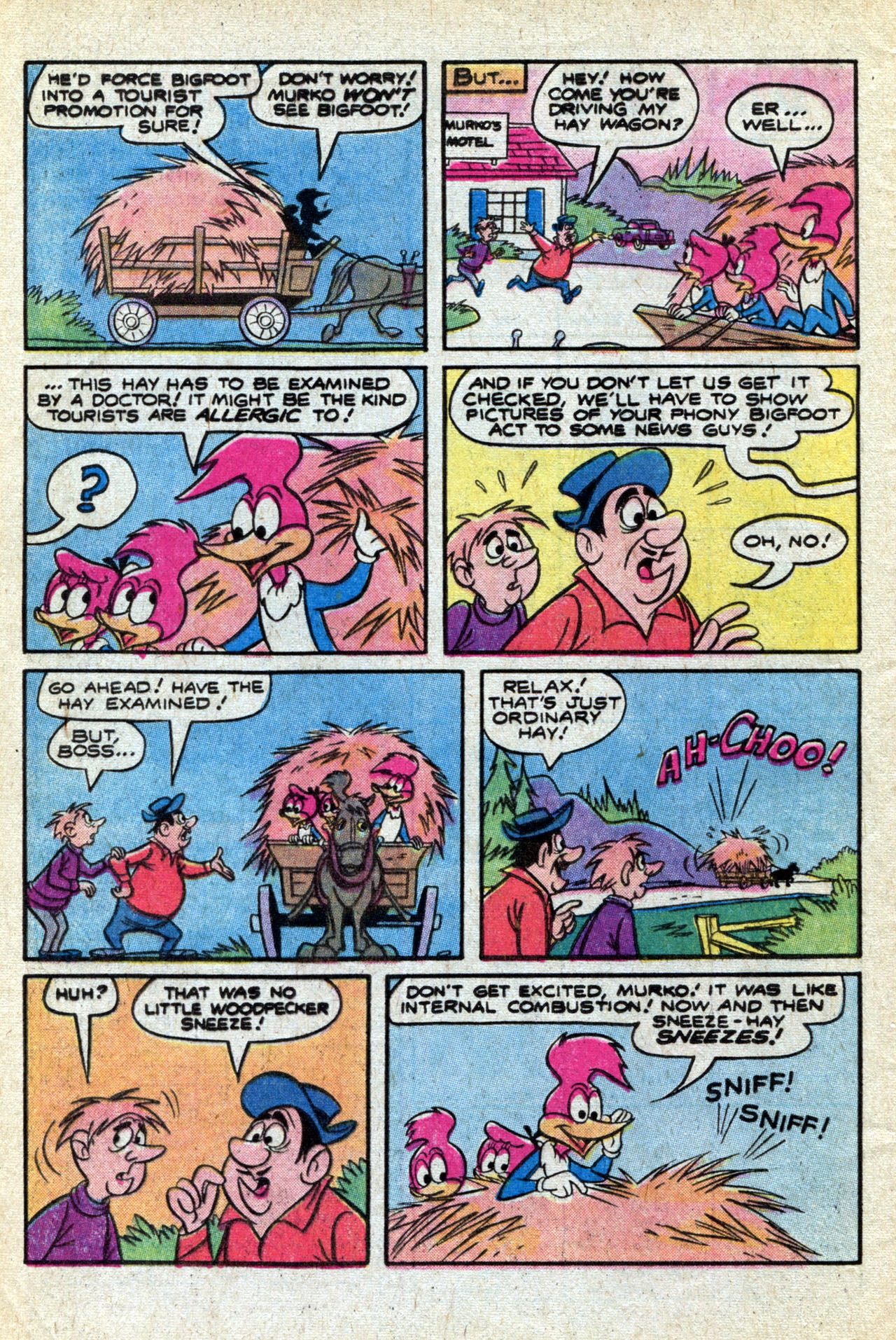 Read online Walter Lantz Woody Woodpecker (1962) comic -  Issue #170 - 8