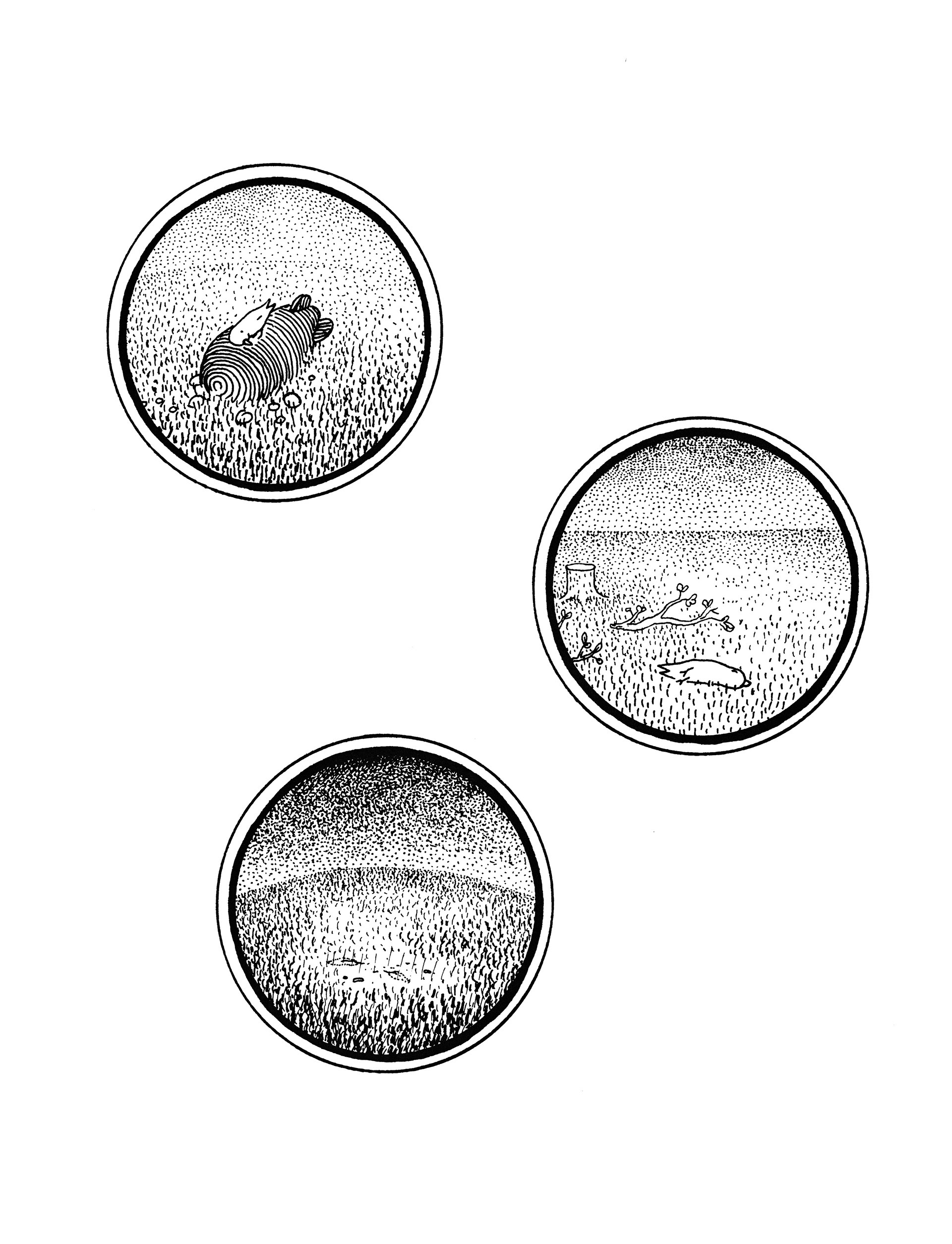 Read online Big Questions comic -  Issue # TPB (Part 1) - 60