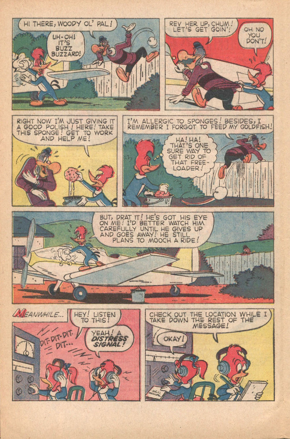 Read online Walter Lantz Woody Woodpecker (1962) comic -  Issue #113 - 4