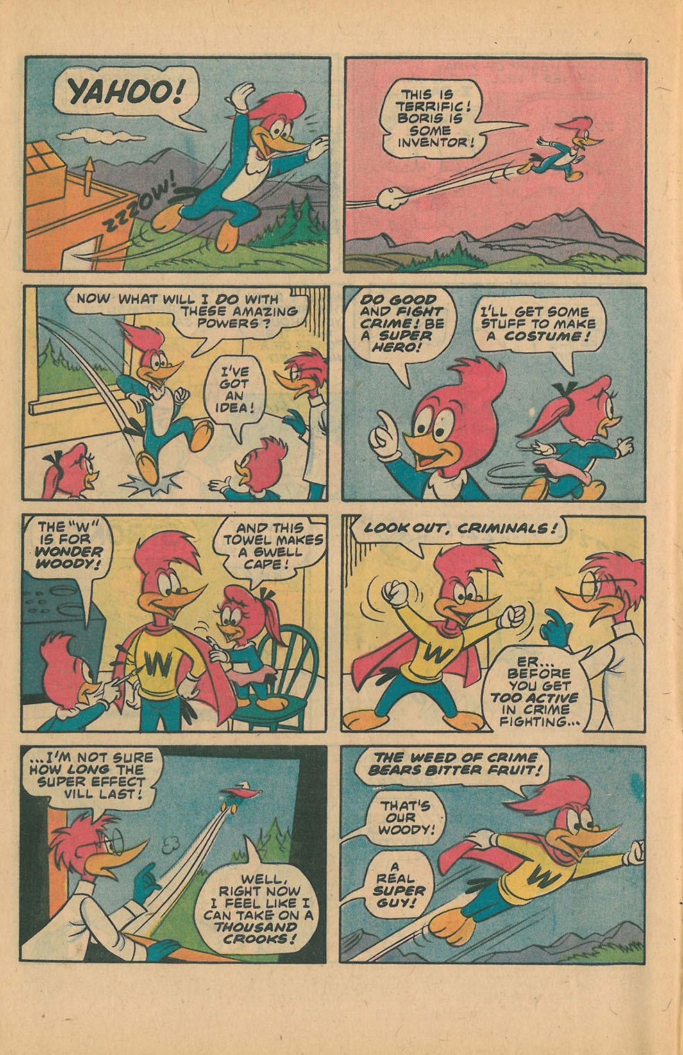 Read online Walter Lantz Woody Woodpecker (1962) comic -  Issue #160 - 6