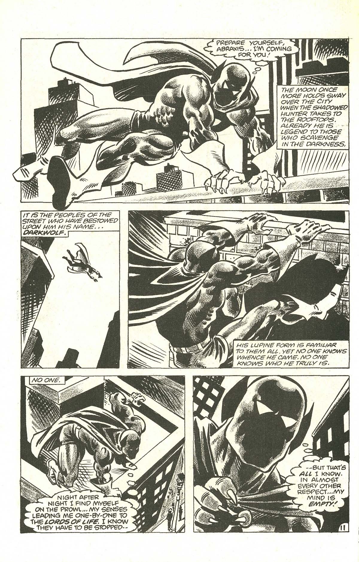 Read online Dark Wolf comic -  Issue #1 - 13