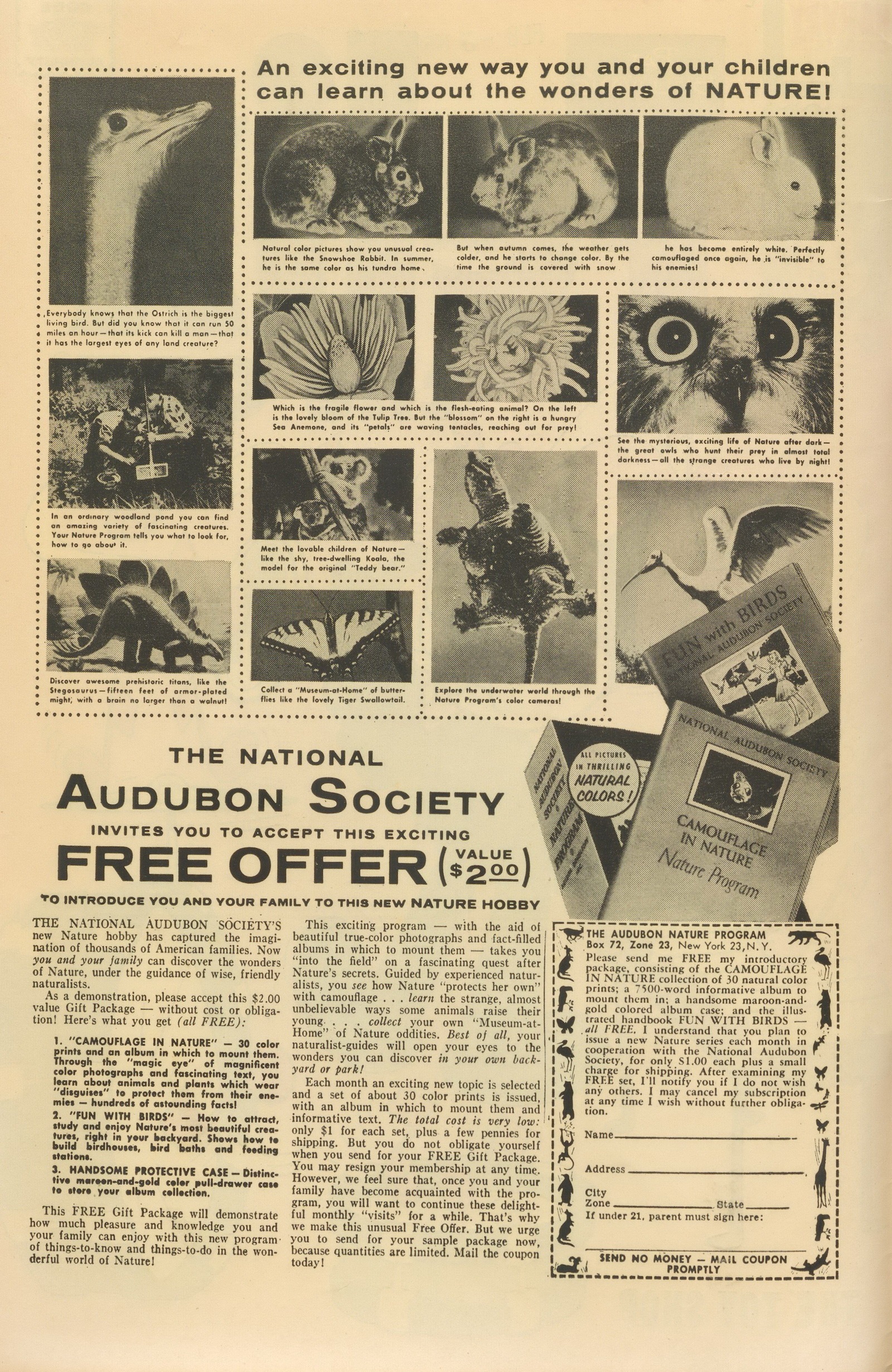 Read online Felix the Cat (1955) comic -  Issue #91 - 2