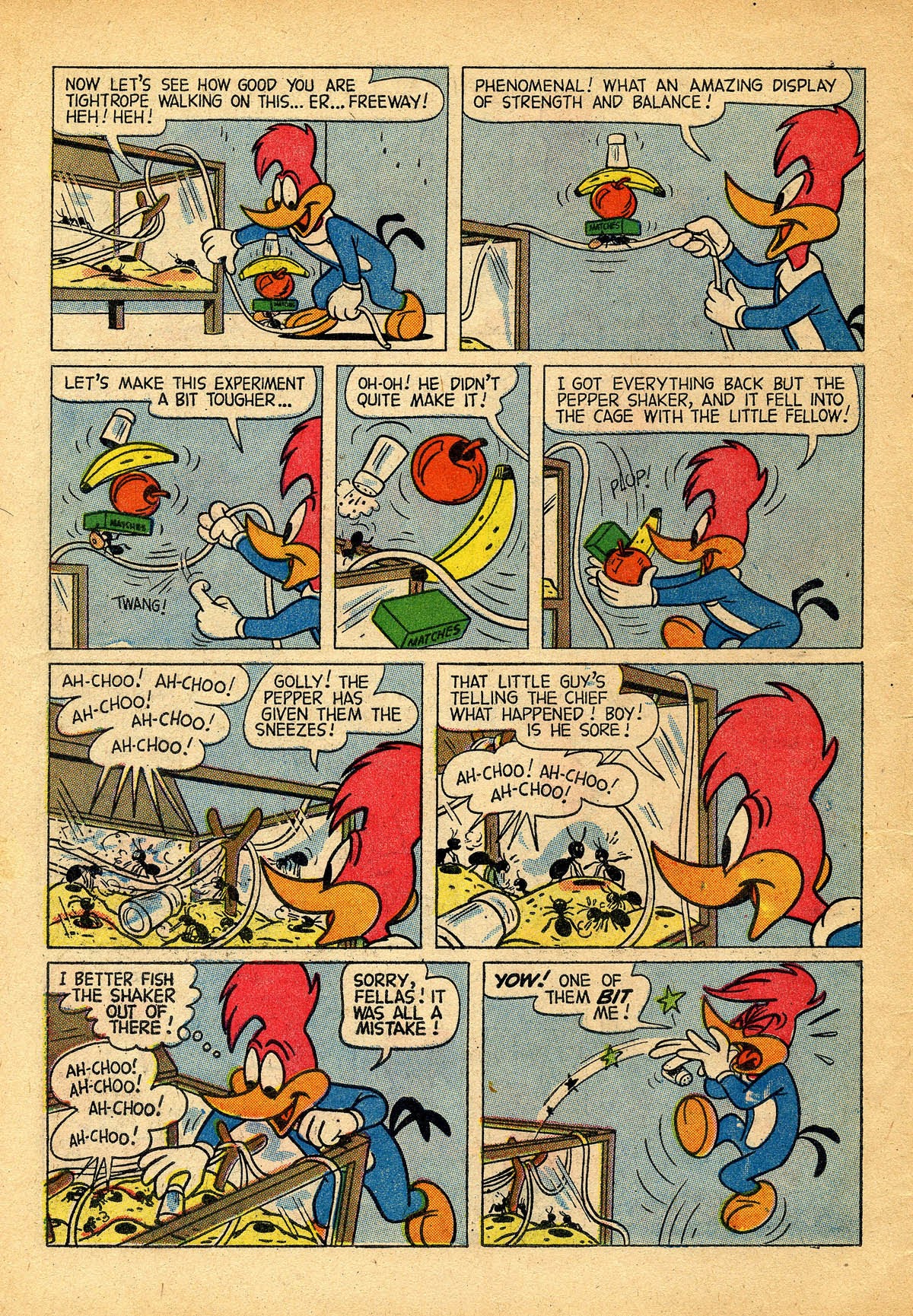 Read online Walter Lantz Woody Woodpecker (1952) comic -  Issue #56 - 6