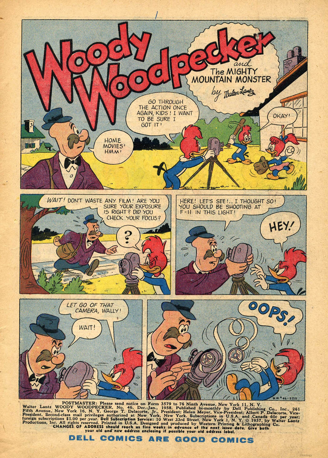 Read online Walter Lantz Woody Woodpecker (1952) comic -  Issue #46 - 3