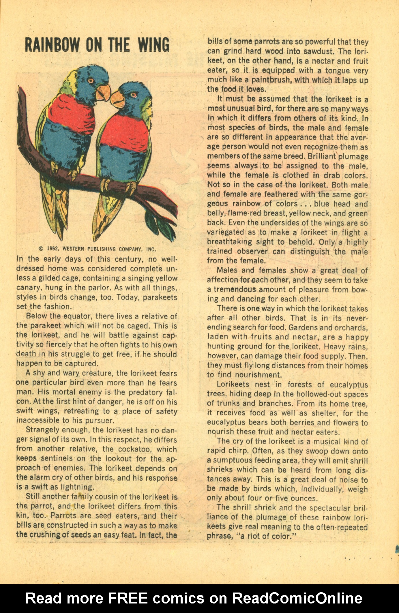 Read online Walter Lantz Woody Woodpecker (1962) comic -  Issue #75 - 63