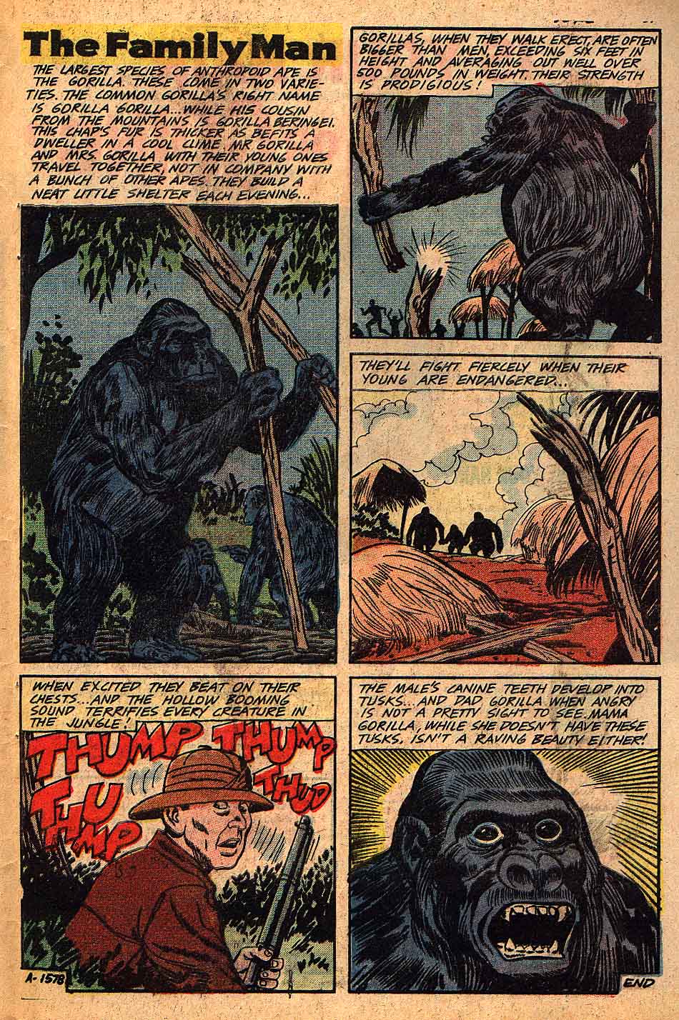 Read online Jungle Jim (1969) comic -  Issue #23 - 33