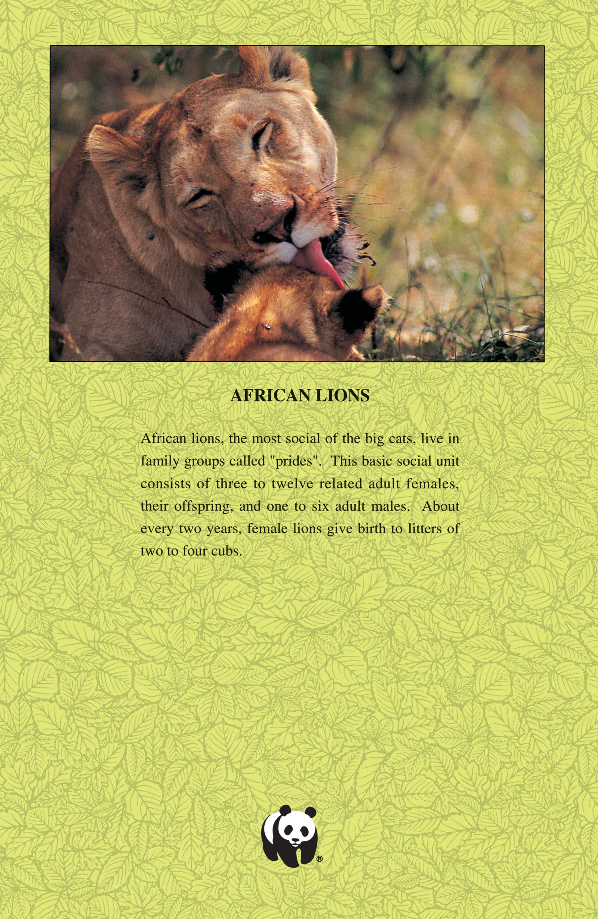 Read online Wolverine Epic Collection: Blood Debt comic -  Issue #Wolverine Epic Collection TPB 6 (Part 4) - 72