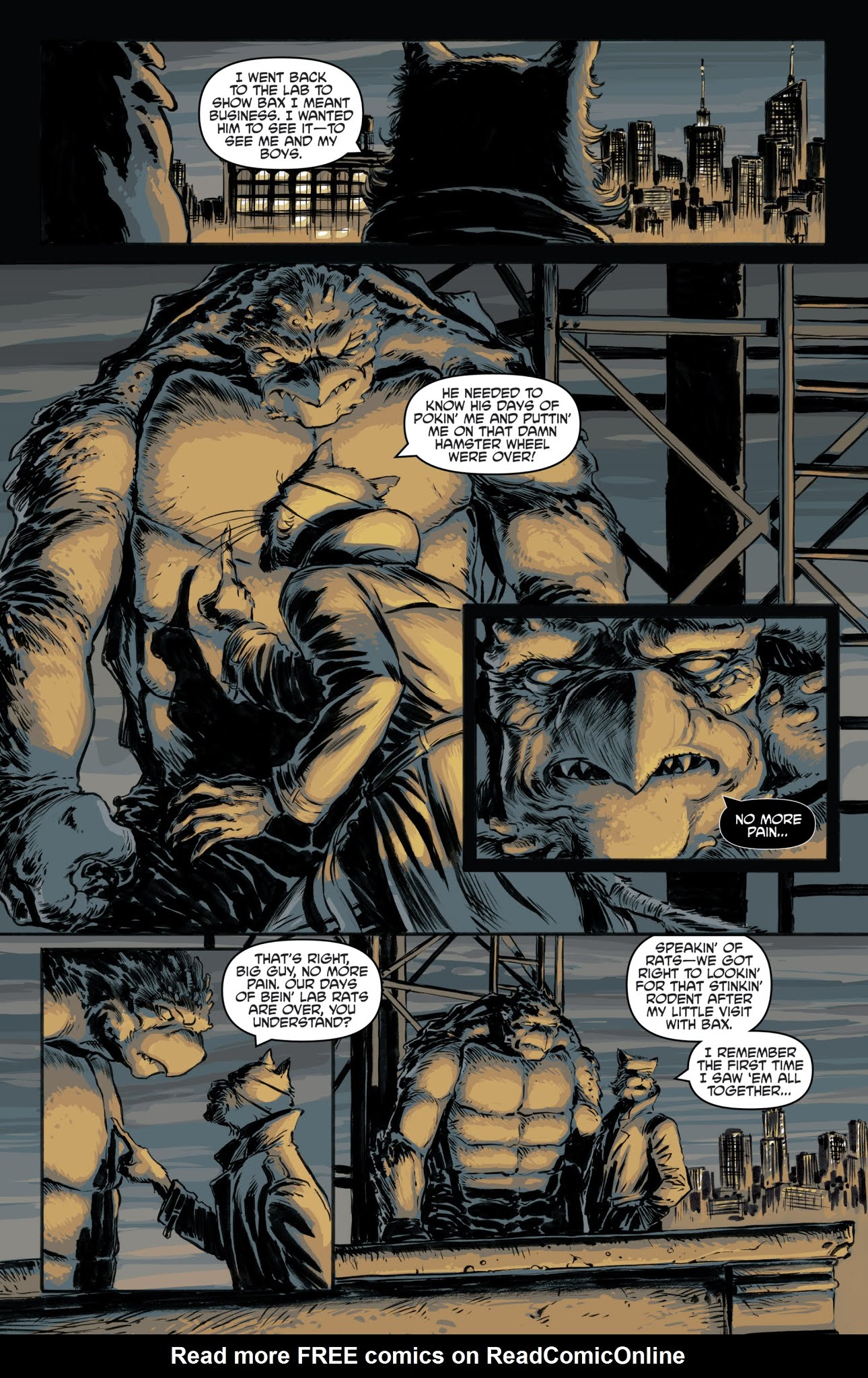 Read online Teenage Mutant Ninja Turtles: The IDW Collection comic -  Issue # TPB 3 (Part 2) - 34
