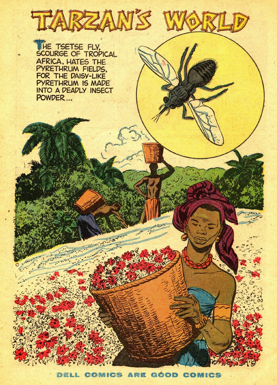 Read online Tarzan (1948) comic -  Issue #80 - 34