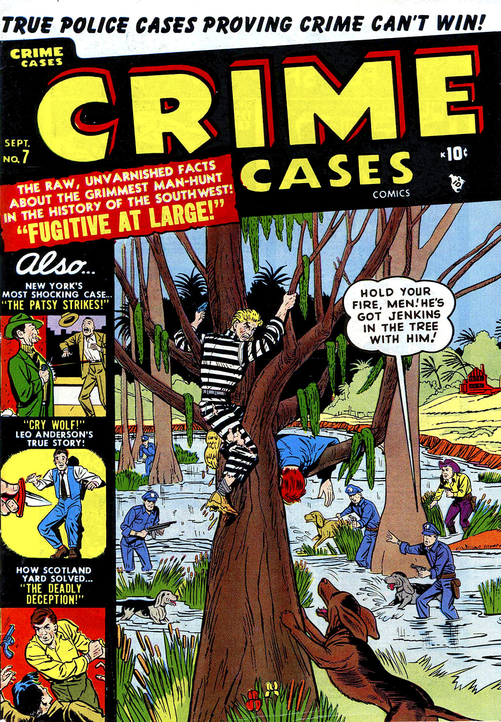 Read online Crime Cases Comics (1951) comic -  Issue #7 - 1