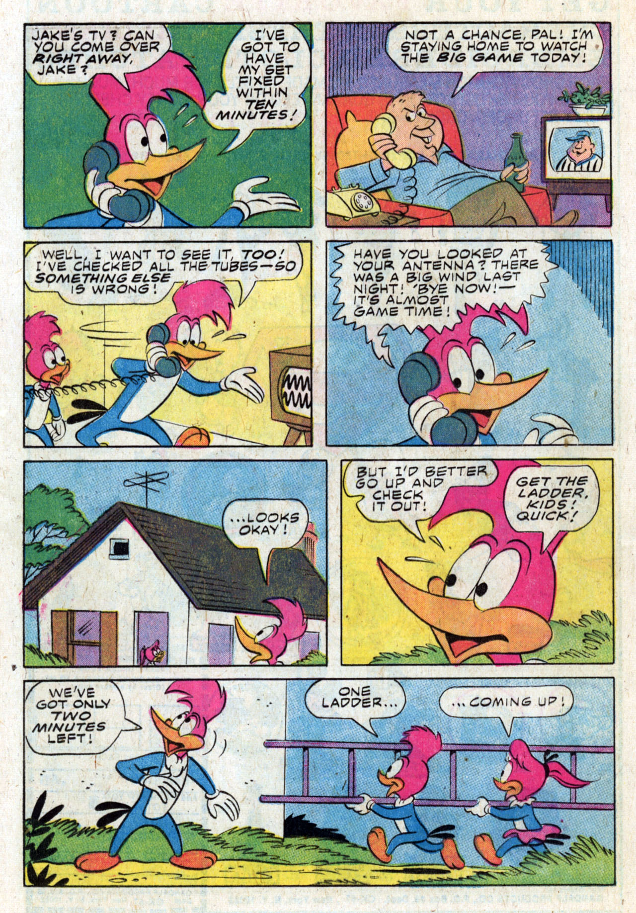 Read online Walter Lantz Woody Woodpecker (1962) comic -  Issue #153 - 24