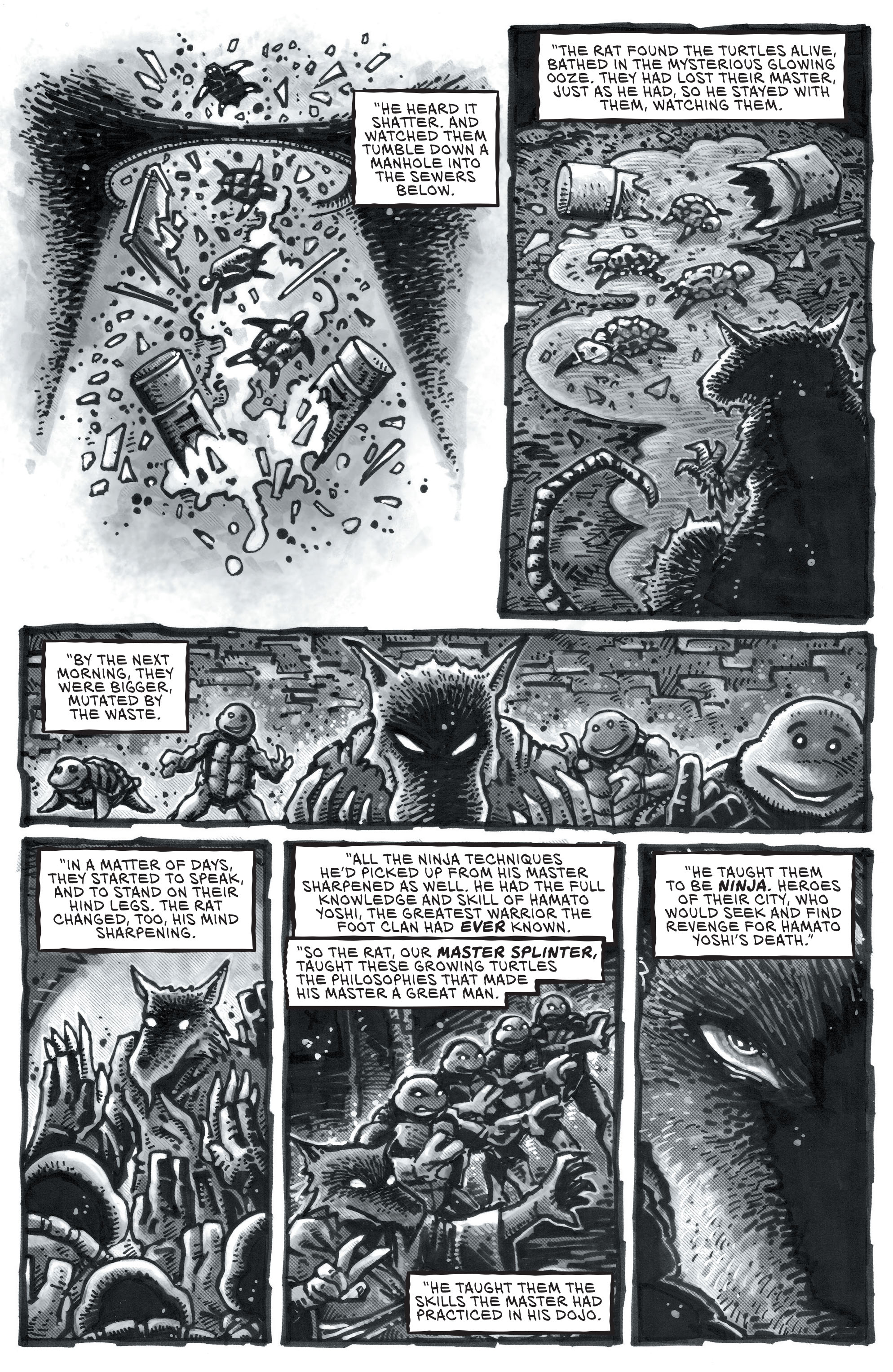 Read online Batman/Teenage Mutant Ninja Turtles III comic -  Issue # _TPB (Part 1) - 27