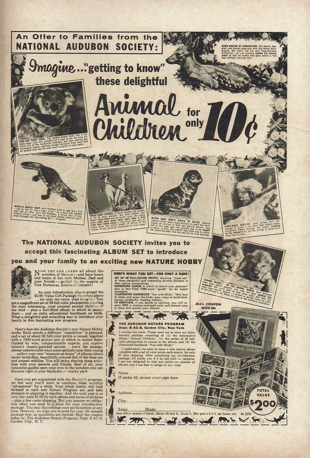 Read online Super Duck Comics comic -  Issue #81 - 35
