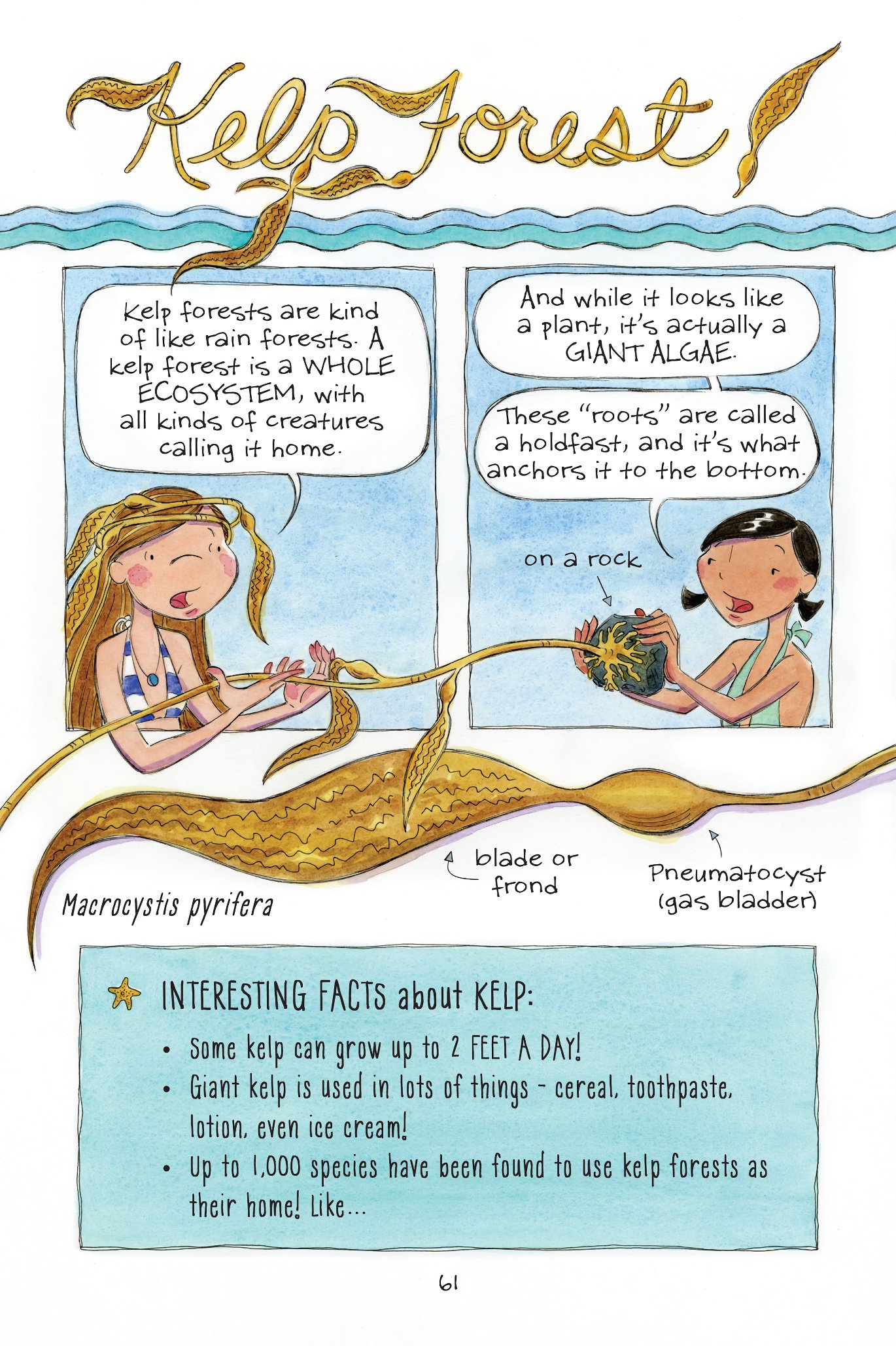 Read online The Science of Surfing: A Surfside Girls Guide to the Ocean comic -  Issue # TPB - 62