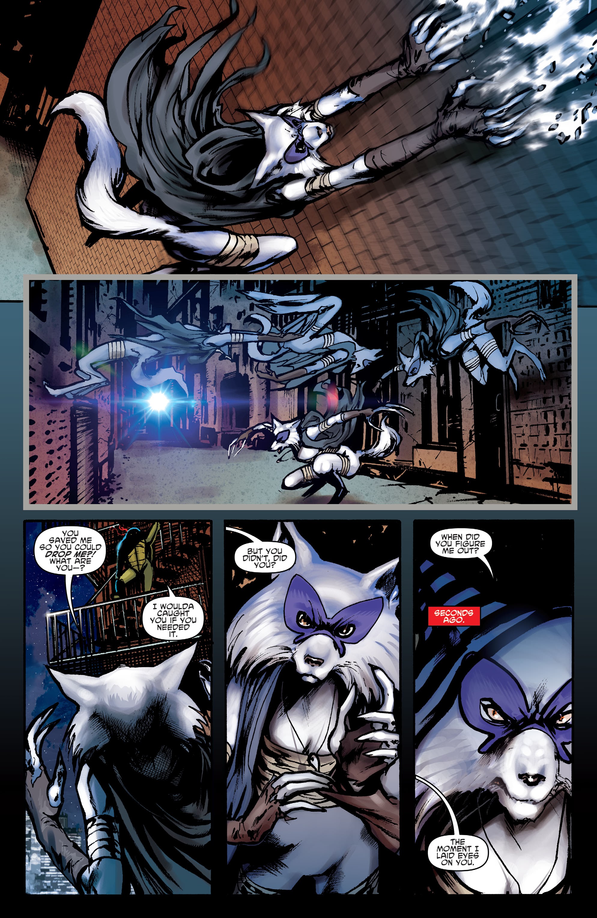 Read online Teenage Mutant Ninja Turtles: Best Of comic -  Issue # Raphael - 43