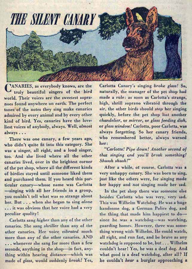 Read online Peter Panda comic -  Issue #4 - 27