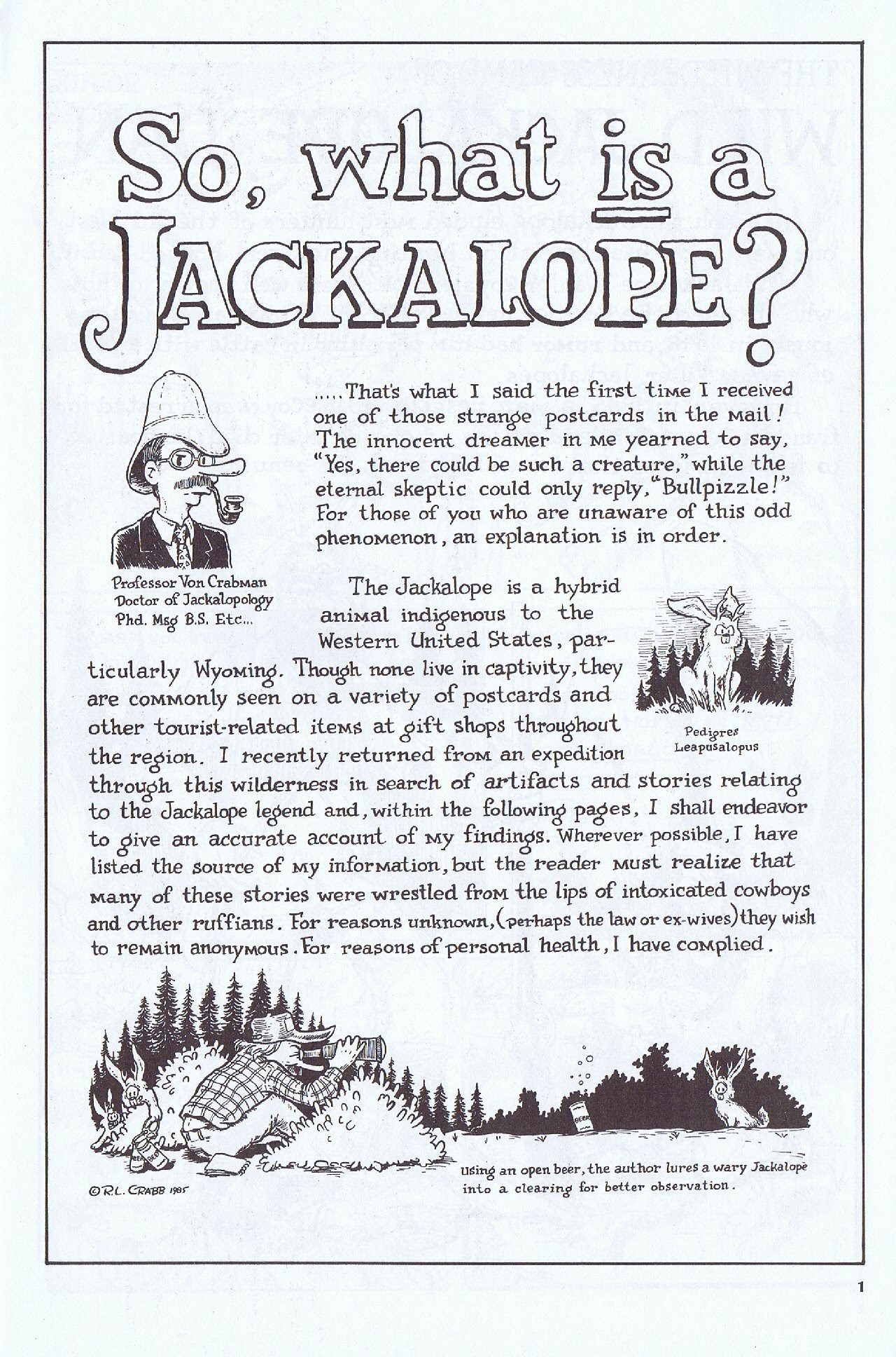 Read online Tales Of The Jackalope comic -  Issue #1 - 3