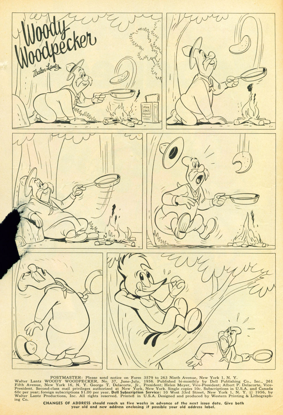 Read online Walter Lantz Woody Woodpecker (1952) comic -  Issue #37 - 2