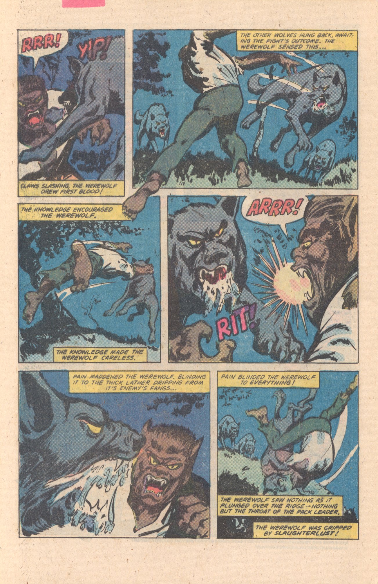 Read online Marvel Premiere comic -  Issue #59 - 23